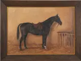 Study of a saddled black horse in a stable - Oil by D Gillam, Oil on canvas -, sold Aug 2026