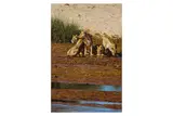 Untitled by Tony Karpinski, oil on board, offered Nov 2024