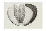 Untitled by Alastair Morton, ink, offered Nov 2024