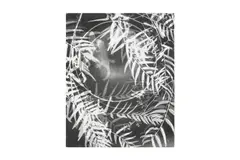 Untitled by Lou Landauer, print, offered Nov 2024
