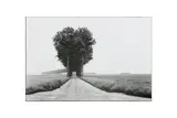 Untitled by Henri Cartier-Bresson, Silver gelatin print, printed later, image size, offered Nov 2024
