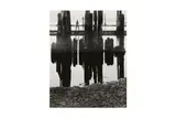 Untitled by Wynn Bullock, print, offered Nov 2024