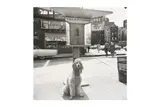 Untitled by Vivian Maier, Silver gelatin print, printed, offered Nov 2024