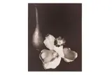 Untitled by Horst P. Horst, print, offered Nov 2024
