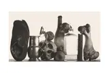 Untitled by Irving Penn, print, offered Nov 2024