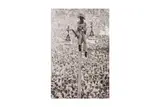 Untitled by Alberto Korda, Silver gelatin print, printed later, image size, offered Nov 2024