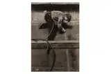 Untitled by Colin Jones, Silver gelatin print, printed later, image size, offered Nov 2024