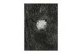 Untitled by Pirkle Jones, print, offered Nov 2024