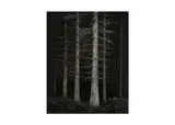 Untitled by Paul Hart, Silver gelatin print, image size, offered Nov 2024