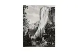 Untitled by Ansel Adams, Gelatin silver print, printed later by Alan Ross, flush-mounted to board, image size, offered Nov 2024