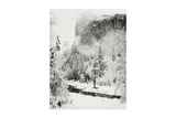 Untitled by Ansel Adams, Silver gelatin print, flush-mounted to board, image size, offered Nov 2024