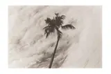 Untitled by Marcia Resnick, Silver gelatin print diptych, each image size, offered Nov 2024