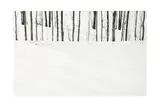 Untitled by Abbas Kiarostami, Chromogenic print, image size, offered Nov 2024