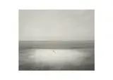 Untitled by Pentti Sammallahti, Silver gelatin print, printed later, image size, offered Nov 2024