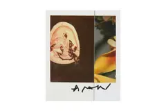 Untitled by Nobuyoshi Araki, photograph, offered Nov 2024