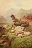 Highland sheep in the mountains by George Moriss, Oil on canvas Indistinctly signed, offered Jun 2024