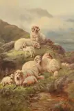 Highland sheep resting by George Moriss, Oil on canvas Indistinctly signed, offered Jun 2024
