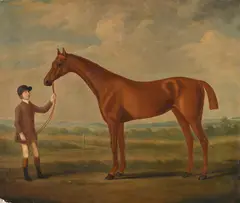 A chestnut horse and a groom by Francis Sartorius, Oil on canvas, offered Jun 2024