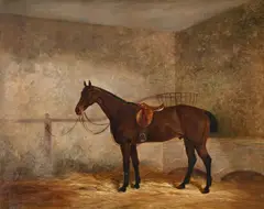 A saddled bay racehorse in a stable by James Walsham Baldock, Oil on canvas, sold Jun 2024