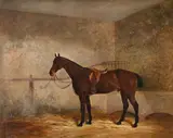 A saddled bay racehorse in a stable by James Walsham Baldock, Oil on canvas, sold Jun 2024