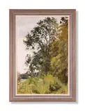 Trees in a landscape by Sue Palmer, Oil on canvas, sold Jun 2024