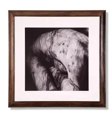 Figured 1 by Leo Dashwood, 2012, Giclee print, sold May 2024