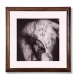 Figured 1 by Leo Dashwood, 2012, Giclee print, sold May 2024