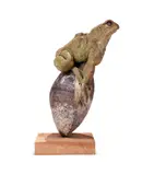 'frog on stone' by Brendan Hesmondhalgh, Terracotta mounted on stone composition plinth Unsigned, sold May 2024
