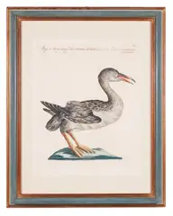 A natural history of birds by Saverio Manetti, oil, sold Apr 2024