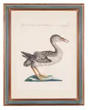 A natural history of birds by Saverio Manetti, oil, sold Apr 2024