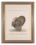 Twelve birds from 'a natural history of birds' by Saverio Manetti, oil, sold Apr 2024