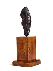 Maquette for still water by Nic Fiddian-Green, Bronze, set on an oak base, sold Apr 2024