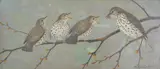 Study of four Thrushes on a branch by Ralston Gudgeon, watercolour, sold Jul 2024