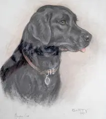 Barty by Marjorie Cox, 1989, pastel, offered Jul 2024