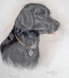 Barty by Marjorie Cox, 1989, pastel, offered Jul 2024
