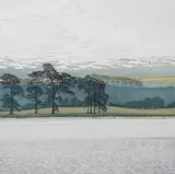 Pine Water by Phil Greenwood, print (other), sold Jul 2024