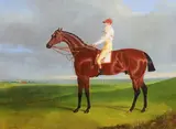 Racehorse with jockey upoil on canvassigned and by John Frederick Herring Snr, Oil on canvas cleaned and relined, sold Jun 2024