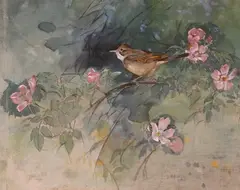 ‘Whitethroat on wild rose by Allen W. Seaby, mixed media and gouache on linen, sold Jun 2024