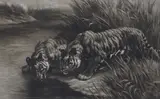 Thirst by Herbert Dicksee, etching, sold Jun 2024