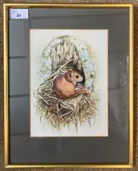 Dormouse by John Last, gouache, offered Aug 2024