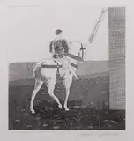 Rapunzel, Rapunzel, Let Down Your Hair by David Hockney Om Ch, etching and aquatint, offered Jul 2024