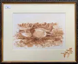Wigeon by Simon Trinder, watercolour, offered Jul 2024