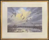 Wigeon at Sunset by Simon Trinder, watercolour, sold Jul 2024