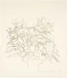 Blooms in Vase by Michael Crowther, pencil on paper, offered Mar 2025