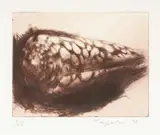 Brown Shell by John Macfarlane, 1995, print (other), sold Mar 2025