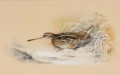 Untitled by Gordon Beningfield, watercolour, sold Jan 2025