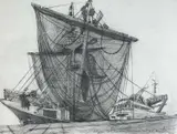 Milford Haven, Belgium Sea Spider by Philip Muirden, 2011, pencil on paper, offered Jan 2025