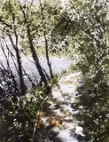 Woodland Walk by Naomi Tydeman, watercolour, sold Nov 2024