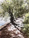 Summer Glint by Naomi Tydeman, watercolour, sold Nov 2024