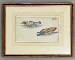 Ornithological study by Eric Ennion, watercolour and ink, offered Aug 2026